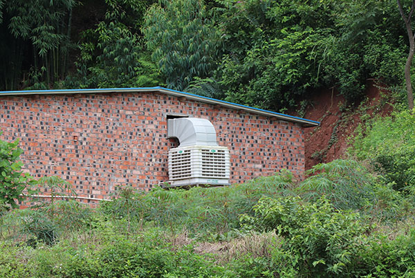 養(yǎng)豬場冷風(fēng)機廠家