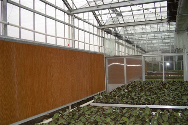 大棚廠房降溫水簾