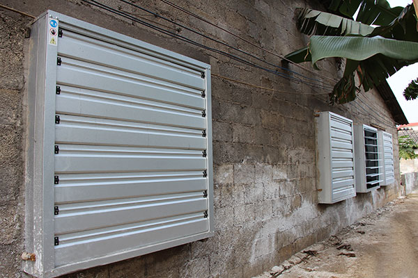 �B(y��ng)ֳ��(ch��ng)ͨ�L(f��ng)�����O(sh��)��