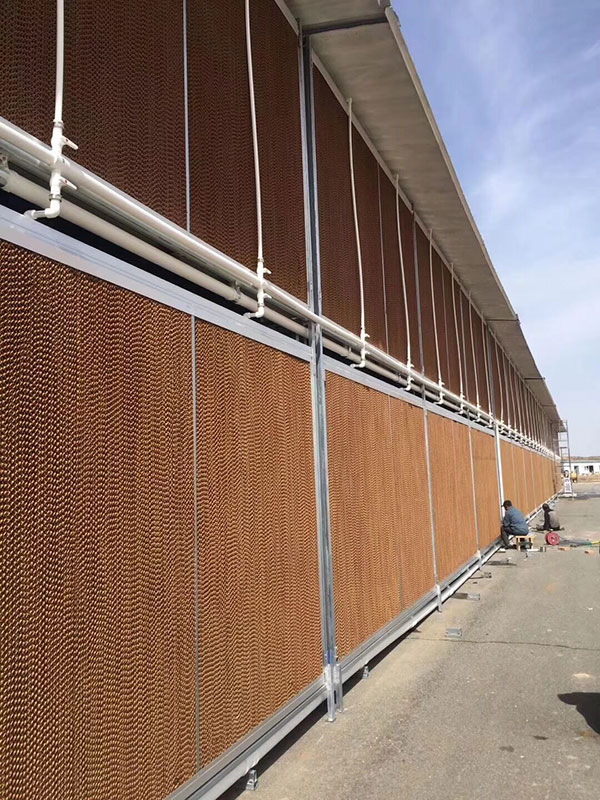 �S������ˮ���ļҺ�